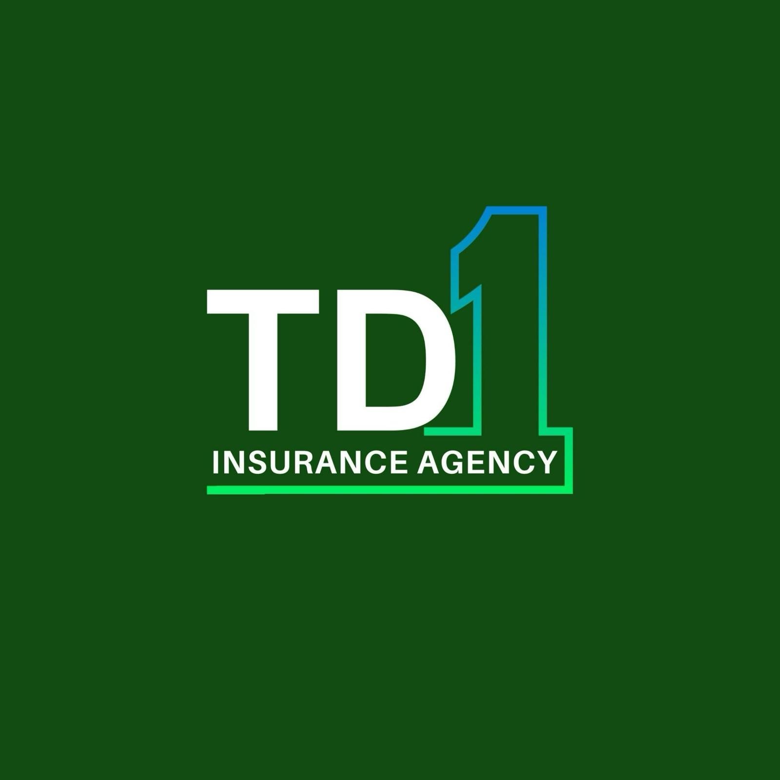 TD1 Insurance